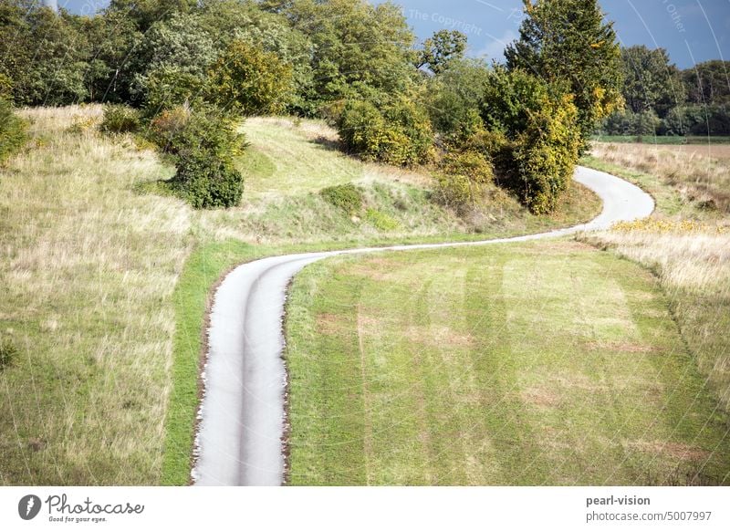 quo vadis? Außenaufnahme Farbfoto Straße Fragezeichen Ölspur grau grün Asphalt Gras Rasen Umwelt Wege & Pfade Natur Landschaft Struktur.