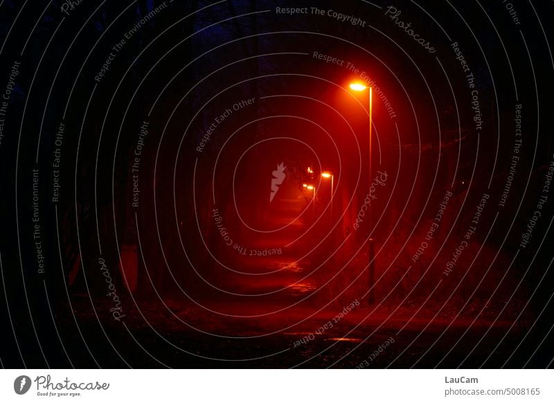 Weg durch die Dunkelheit Strom sparen Energiekrise Licht Laternen Beleuchtung dunkel dämmrig unheimlich einsam beleuchtet Energie sparen Elektrizität Abend