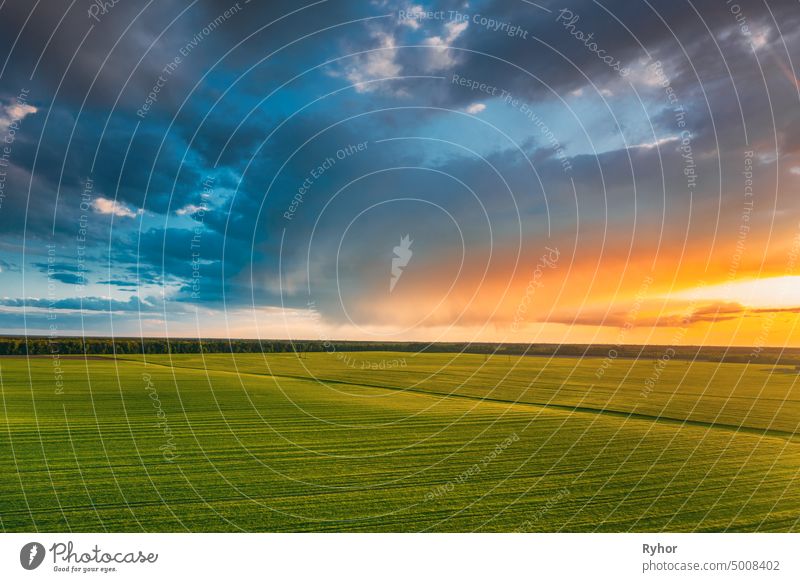 Luftaufnahme Landschaft Ländlich Ländlich Grünes Feld Landschaft Mit Jungen Weizensprossen Im Frühling Sommer Sonnenuntergang. Landwirtschaftliches Feld. Junge Weizensprossen und bunter Abendhimmel mit Regenwolken