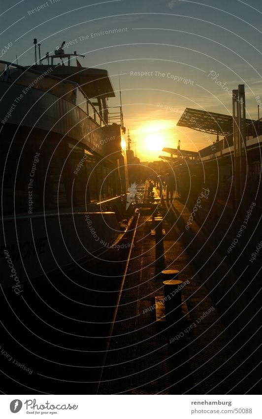 Hamburger Hafen im Spätsommer Sommer Wasserfahrzeug Dampfschiff Sonnenuntergang Abenddämmerung Anlegestelle