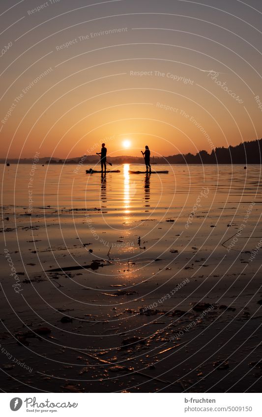 Zwei Stand-Up-Paddles auf dem See bei Sonnenuntergang Stand-Up-Paddling Schatten Wassersport SUP Stand up paddle zwei Außenaufnahme Sport Freizeit & Hobby