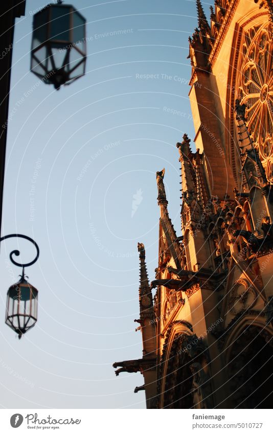 décor de Metz Gargoil kathedrale Gothik Laterne Herbst Frankreich Kirche Architektur