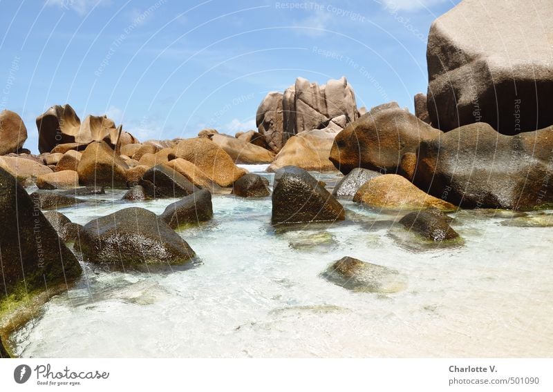 Klettergarten Natur Urelemente Sommer Schönes Wetter Bucht Meer Indischer Ozean Stein Wasser fest Flüssigkeit gigantisch nass natürlich schön blau braun türkis