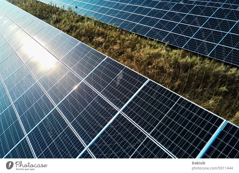 Fotovoltaik-Paneele, Entwicklung alternativer erneuerbarer Energiequellen Sonnenkollektor Sonnenenergie Fotovoltaikplatte Energiekrise regenerativ Solarfarm