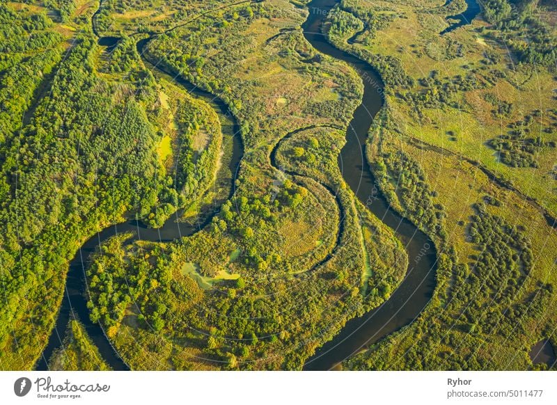 Luftaufnahme Grüner Wald Wälder und Flusslandschaft in sonnigen Sommertag. Top View of Beautiful European Nature From High Attitude In Summer Season. Drone Ansicht. Vogelperspektive Ansicht