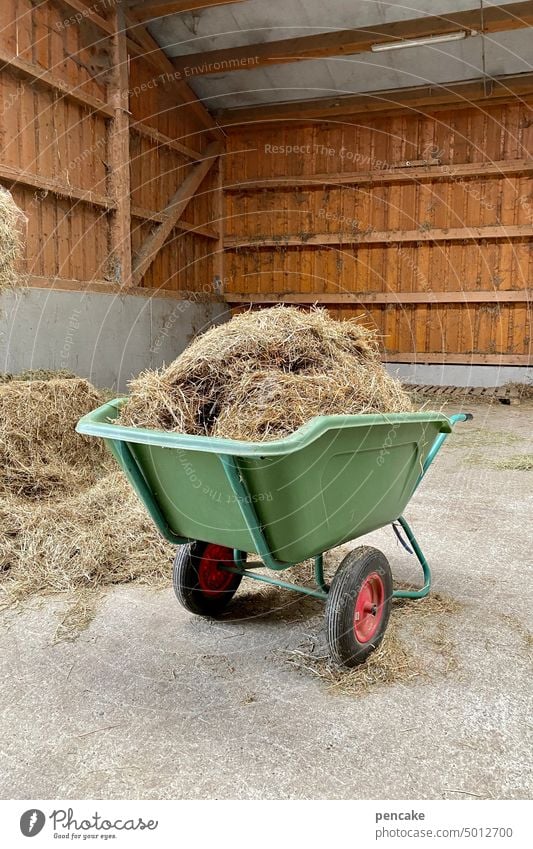 such die | nadel im heuhaufen Heu Schubkarre Stall Pferdestall Sprichwort Nadel im Heuhaufen Bauernhof ländlich Landwirtschaft Futter Tierhaltung Suche suchen