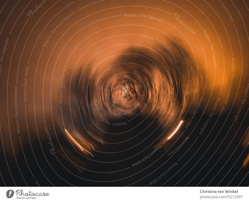 seltsam | verdrehte Welt Bäume abstrakte Fotografie ungewiss geheimnisvoll unscharf Bewegungsunschärfe unklar Unschärfe verschwommen Drehung Wirbel ICM-Technik