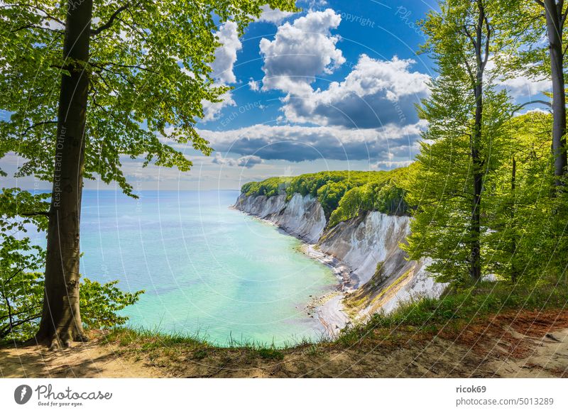 Kreidefelsen an der Küste der Ostsee auf der Insel Rügen Mecklenburg-Vorpommern Ostseeküste Meer Baum Steilküste Findling Stein Felsen Himmel Wolken blau