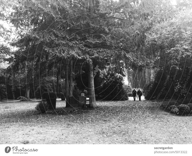 [HH unnamed road] In Gedenken Spaziergang Friedhof Park Hamburg Ohlsdorfer Friedhof Schwarzweißfoto Außenaufnahme Tag ruhig Vergänglichkeit Stein Grab