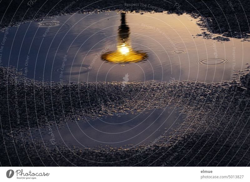 abendliche Spiegelung einer leuchtenden Straßenlaterne in einer Regenpfütze / Energiekrise Laterne Energiesparmodus Asphaltstraße Pfütze Wasser Nacht