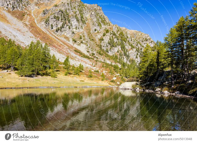 Fluchtpunkttraining Bergsee Berge u. Gebirge See Spiegelung Spiegelung im Wasser Alpen Reflexion & Spiegelung Menschenleer Außenaufnahme Natur Landschaft