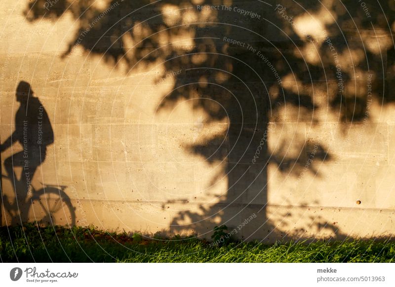 Goldene Oktoberwand Schatten golden warm Sonne Herbst Baum Sonnenlicht hell Licht Park Umwelt Hintergrund Fahrrad Fahrradfahren fahrradfahrerin Fahrradfahrer