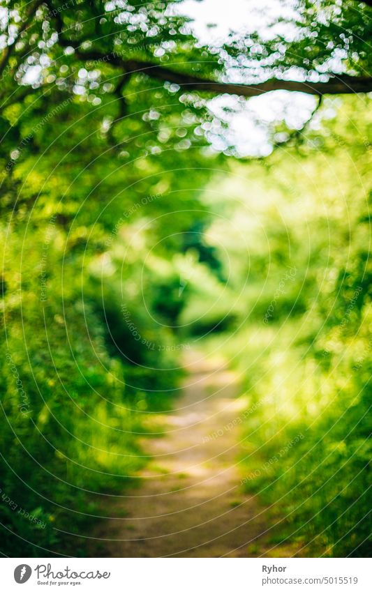 Unscharfe abstrakte Bokeh Boke natürlichen Hintergrund der Gehweg Weg Lane im Sommer Park Unschärfe Frühling Natur Großstadt Landschaftsarchitektur Fußweg