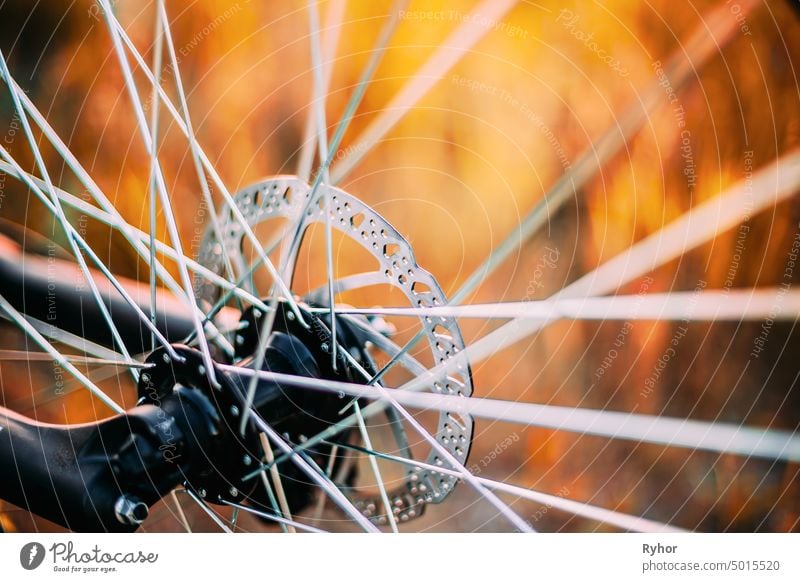 Nahaufnahme Fahrradrad. Speichen Hobby orange Gesundheit Verkehr Park Detailaufnahme Mountainbike Sonnenuntergang Scheibenbremse aktiv Öko Radfahren Erholung