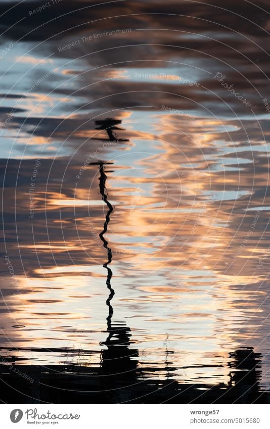 seltsam | Abendröte Thementag Reflexionen im Wasser Spiegelung Reflexion & Spiegelung Spiegelung im Wasser Wasseroberfläche Außenaufnahme Menschenleer