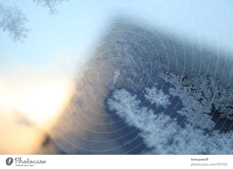 Eisblüten kalt Fenster Sonnenaufgang Eiskristall Eisblumen Winter Schneekristall Frost Kristallstrukturen blau Wintermorgen