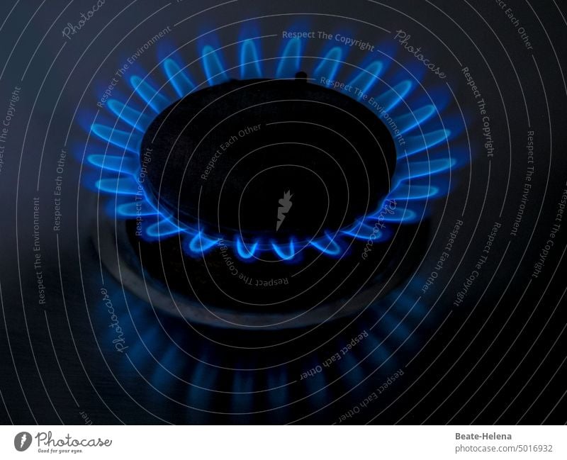 Gasblüte: blaue Blume der Romantik Energie selten wertvoll Rohstoffe zentrisch Blütenkranz Blaue Blume der Romantik Klimakrise Erleuchtung Ressoursenknappheit