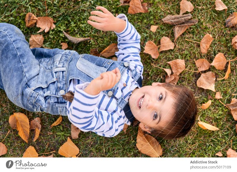 Glückliches Kind auf einer Wiese im Park liegend Herbst Junge Laubwerk Lügen fallen niedlich Natur Saison heiter Blatt wenig sorgenfrei sich[Akk] entspannen