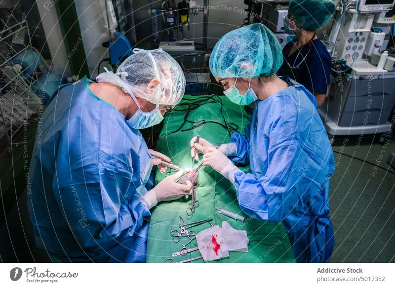 Tierarzt bei einer Operation mit Assistentin in der Klinik Arzt Chirurgie Uniform medizinisch Veterinär Mundschutz Spezialist Leckerbissen Gesundheitswesen