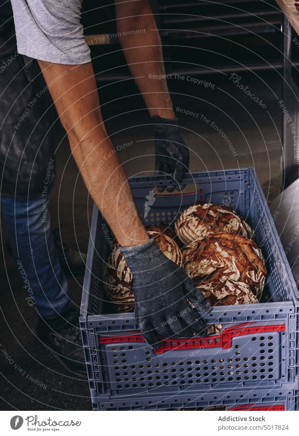 Männlicher Bäcker mit Brot in einem Behälter Brotlaib Bäckerei Container Mann Kasten Koch Küche lecker männlich Uniform Schürze Kunststoff Job Küchenchef Arbeit