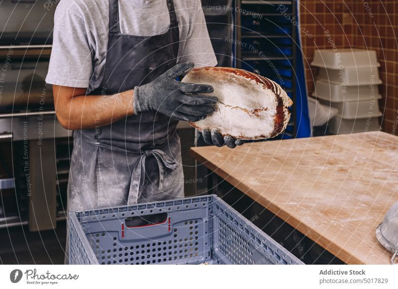 Männlicher Bäcker mit Brot in einem Behälter Brotlaib Bäckerei Container Mann Kasten Koch Küche lecker männlich Uniform Schürze Kunststoff Job Küchenchef Arbeit