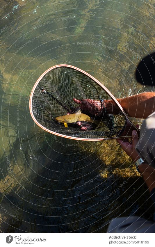 Anonymer Fischer, Mann mit Fischernetz, der einen Fisch fängt Fluss Person Wasser Erholung Sport Aktivität Natur fangen Fischen Berge u. Gebirge Sommer Fliege