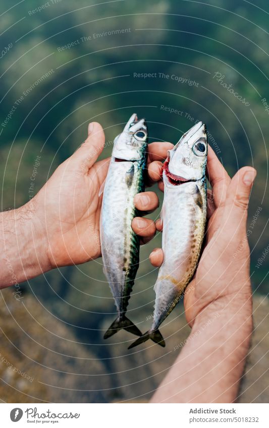 Mann hält Fische in der Hand im Wasser Fluss Fischer Hobby Natur Kreatur See fangen Aktivität Sport Süßwasser Ufer frisch Urlaub Haken Fischen ziehend männlich