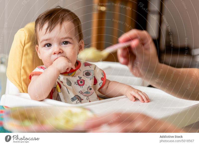 Anonyme Mutter füttert Baby mit Brei in der Küche Frau Futter Haferbrei Lebensmittel essen hungrig Kinderbetreuung Kindheit Löffel Mama Eltern niedlich