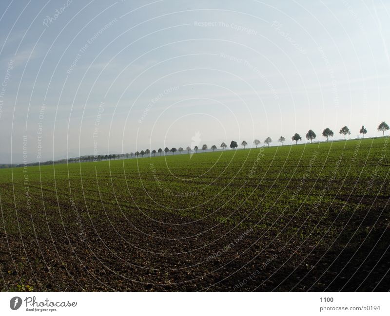 Feldlandschaft Baum Flur Horizont Allee Herbst Außenaufnahme Himmel Abend Berge u. Gebirge