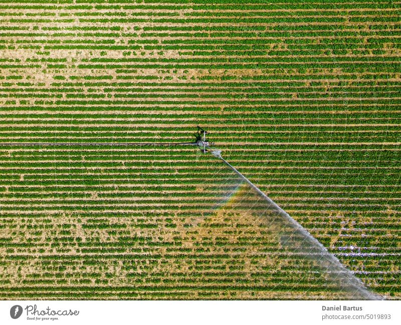 Luftaufnahme einer Drohne von einem Feld, das mit einem leistungsstarken Bewässerungssystem bewässert wird. landwirtschaftlich Ackerbau Hintergrund botanisch