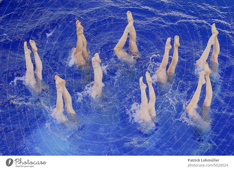 Beinfreiheit Synchronschwimmen Schwimmen & Baden Schwimmbad nass Farbfoto Freizeit & Hobby Wasser Wassersport Pool synchron blau Freude Erfrischung tauchen