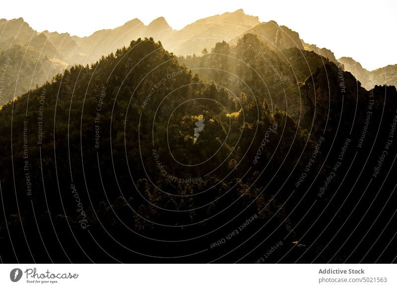 Waldlandschaft in den Bergen an einem sonnigen Tag Berge u. Gebirge Schnee Sonnenlicht Landschaft atemberaubend Kamm Hochland Ambitus Himalaya Nepal Natur