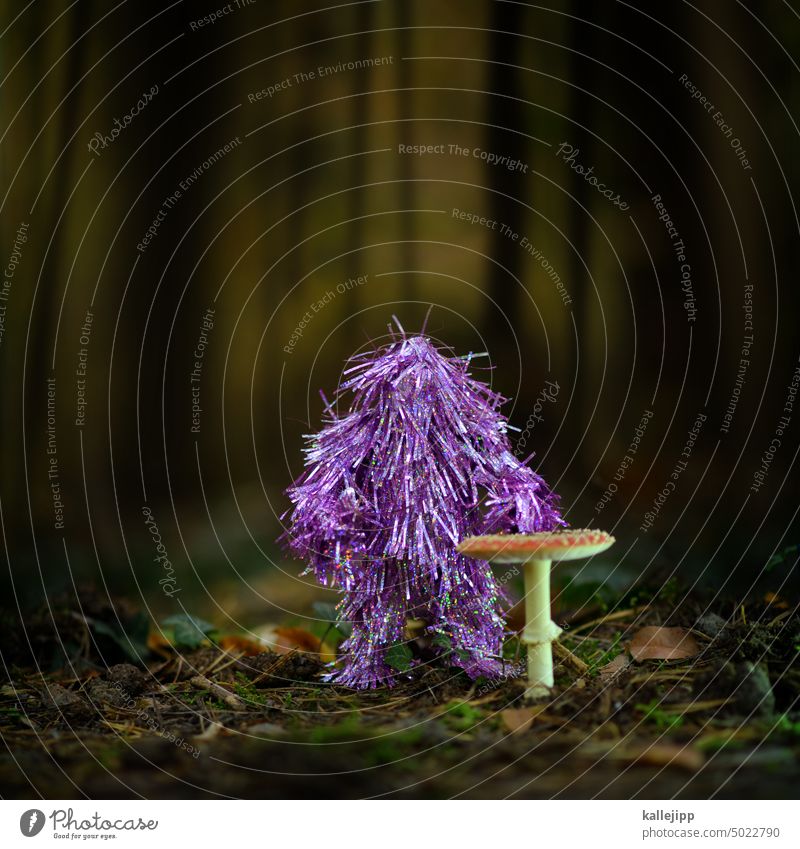 keine party ohne pilze Herbst Pilz Fliegenpilz Monster Party Tanzen Wald Waldboden Moos Tannennadeln Bäume Natur Außenaufnahme Farbfoto Pflanze Pilzhut Umwelt