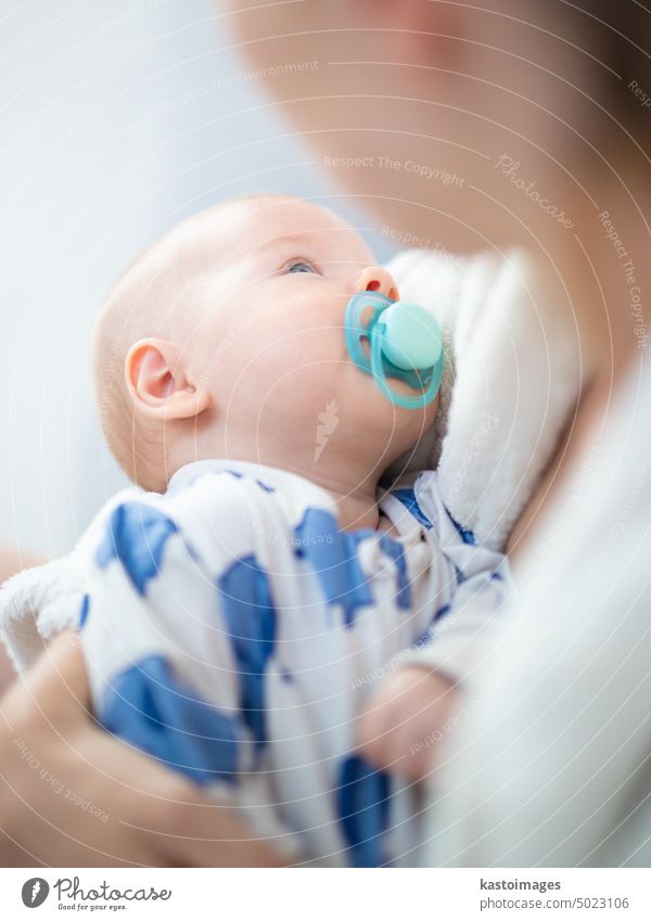 Eine junge Mutter hält ihren kleinen Jungen im Arm. Baby Kindheit Familie heimwärts wenig niedlich Beteiligung weiß Kaukasier Liebe Eltern Mama Glück