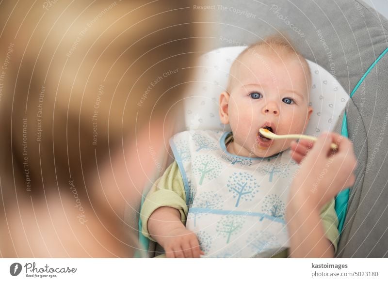 Mutter Löffel füttern ihr Baby Junge Kleinkind Kind in Babystuhl mit Fruchtpüree. Baby feste Nahrung Einführung Konzept. Gesundheit Ernährung Essen Lebensmittel