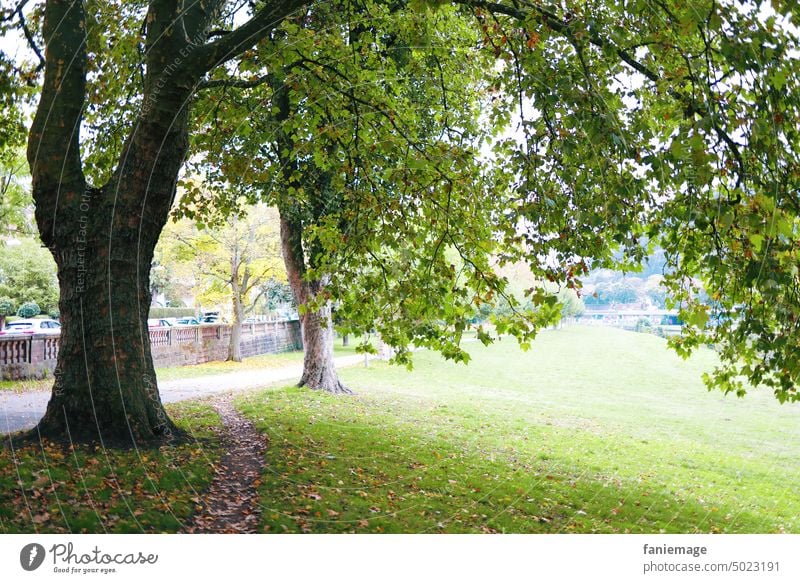 an der Saar saar Saarbrücken Staden spaziergang Bäume baum Grün herbst schlechtes nasser Natur Luft schnappen frische Luft Waldbaden Entspannung