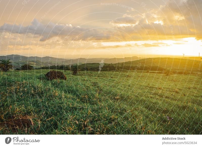 Sonnenuntergang über grünen Wiesen unter einem bewölkten Himmel Cloud Sonnenlicht ländlich Feld Gras Natur Landschaft Umwelt Saison Sommer Ansicht