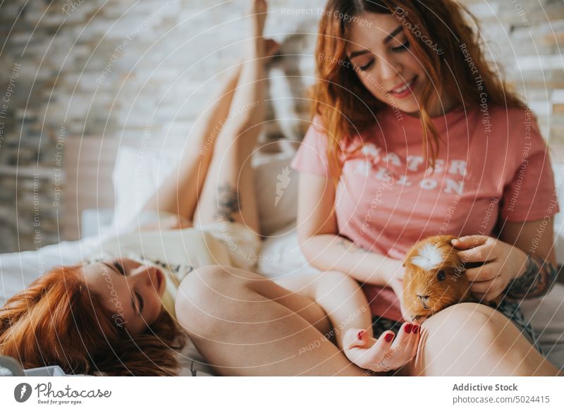 Frauen mit Meerschweinchen auf dem Bett liegend Freizeit im Innenbereich Liebe Spaß alternativ Tier Schlafzimmer verschwommener Hintergrund heiter Komfort