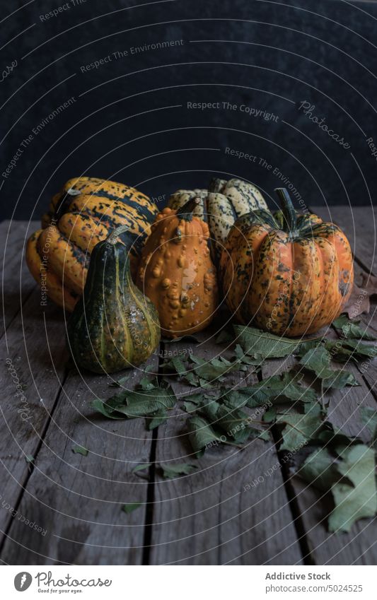 Verschiedene rustikale Kürbisse auf dunklem Holztisch organisch Gesundheit natürlich Sortiment Ernte frisch Lebensmittel Vegetarier Frucht Bauernhof produzieren