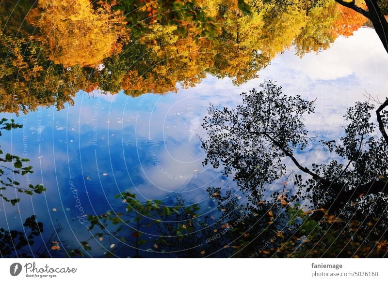 die Welt dreht sich weiter herbst Landschaft herbstlich Waldrand weiher Bäume Herbstlaub verrotten gelb orange Spiegelung Wasser wolken Himmel