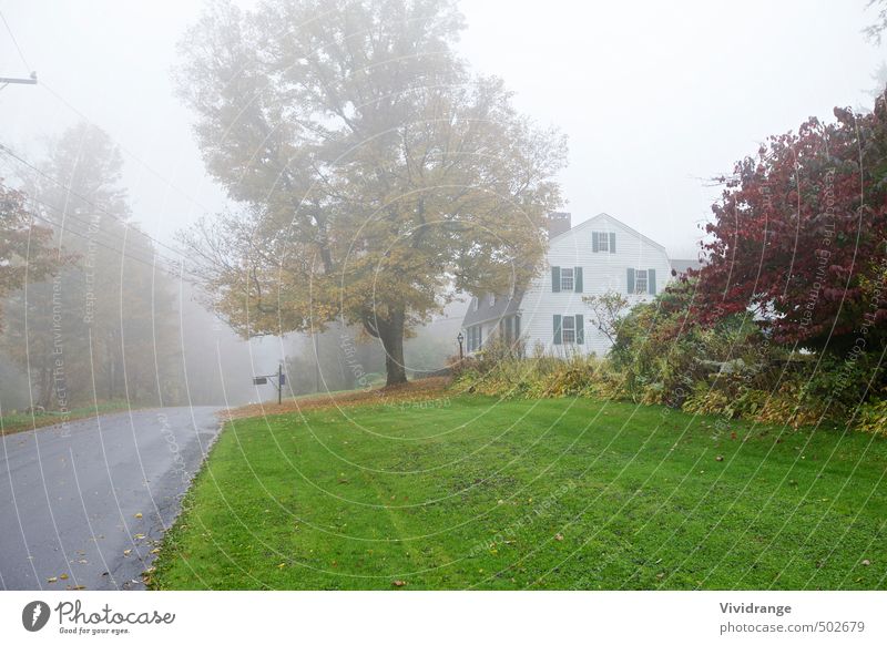 Nebliger Roadtrip Ausflug Häusliches Leben Haus Garten Hausbau Landschaft Herbst schlechtes Wetter Nebel Baum Einfamilienhaus Briefkasten Verkehrsmittel Straße