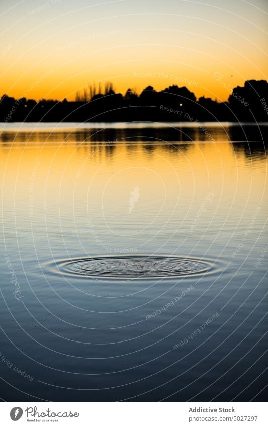 Plätscherndes Wasser bei Sonnenuntergang Fluss Ufer aqua Natur Wasserseite Flussufer Rippeln Abend Baum Consuegra fließen Spanien Europa Toledo Küste