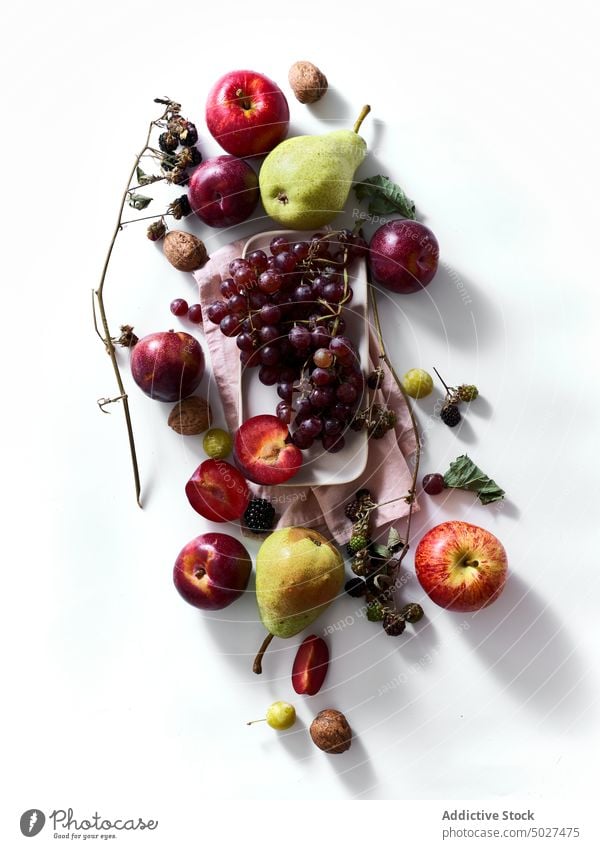 Flatlay mit reifen Herbstfrüchten Natur saftig Ast fallen Ackerbau Ernährung Nahaufnahme Menschengruppe Pflaume hell Gesundheit Bauernhof Zusammensetzung Birne