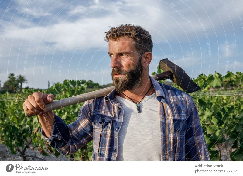 Seriöser junger ethnischer Landwirt auf einer landwirtschaftlichen Plantage Mann Bauernhof Feld Landschaft Ackerbau Pflanze Schonung ländlich Arbeit Agronomie