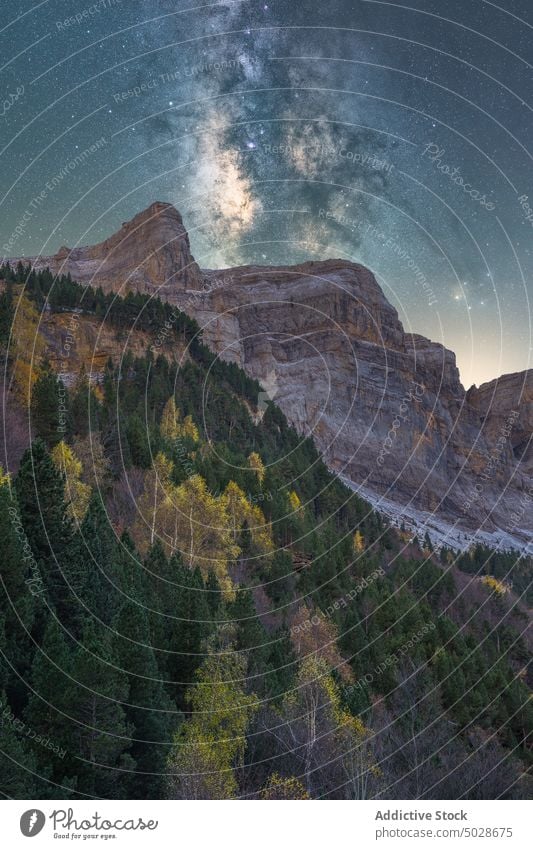 Verschneite Berge unter Sternenhimmel bei Nacht Berge u. Gebirge Schnee Himmel sternenklar Natur Hochland Landschaft Astronomie Bäume Galaxie Raum Wälder