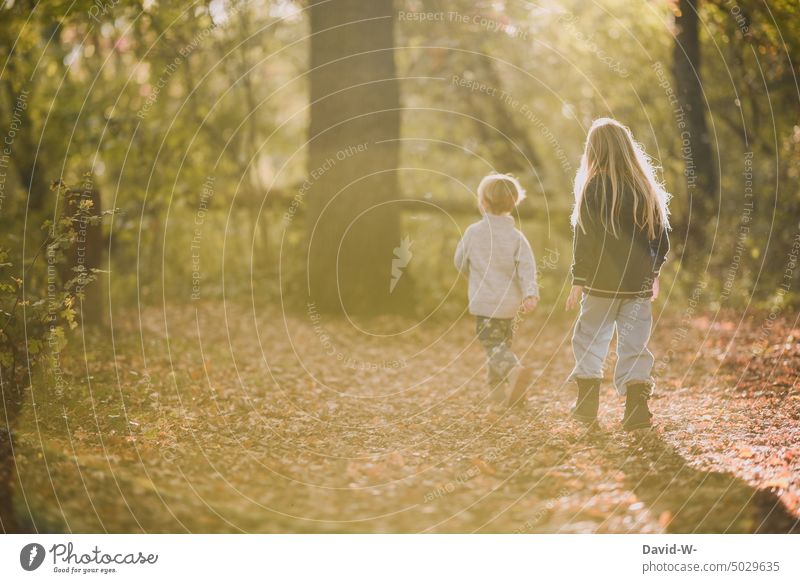 Geschwister spazieren durch den herbstlichen Wald Herbst Spaziergang wald Sonnenlicht Sonnenstrahlen Sonnenschein zusammen junge mädchen erkunden draußen