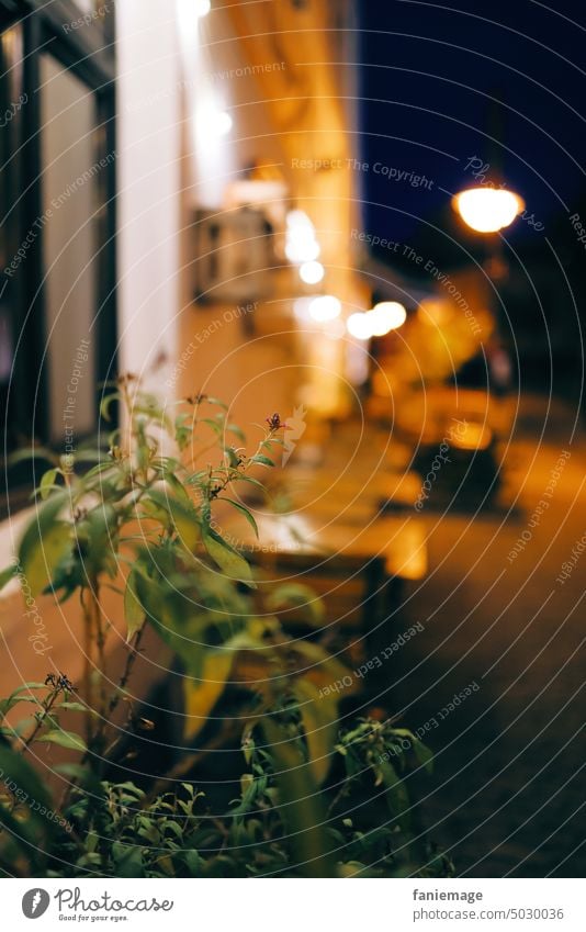 wieder draußen sitzen Restaurant sitzen draußen abends unschärfe pflanze Außenbereich nachts sich[Akk] beugen Stadt Essen Lichter Gasse strassenlampe