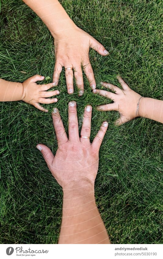 Mütter, Väter und childs Hände auf grünem Gras. glückliche Familie, Kindheit Konzept. Tag der Mutter, Vater, Kind. Familie verbringt Zeit zusammen in der Natur. Sommerurlaub Konzept.