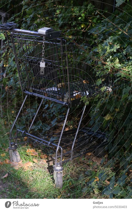 Einkaufswagen ins Gebüsch geschoben Diebstahl Vandalismus Umweltverschmutzung Metall kaputt Zerstörung Konsum alt Supermarkt Einzelhandel Strukturen & Formen