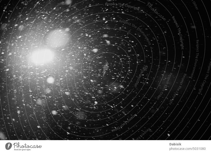 Fallende Schneeflocken oder Regen auf schwarzem Hintergrund Partikel vereinzelt fallend Unwetter Überzug Staubwischen Ebene Licht Winter Pulver Textur